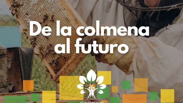 De la colmena al futuro: grandes oportunidades que nacen en Petén